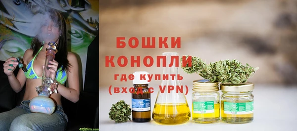 мет Елабуга
