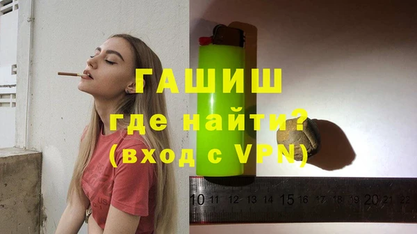 гашик Тында