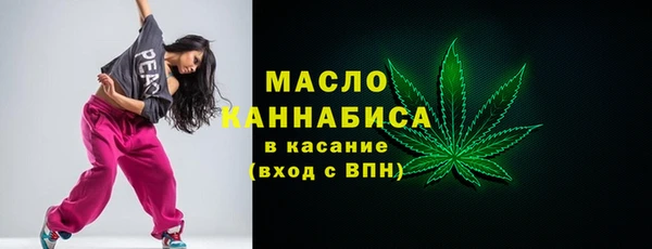 крисы Ельня