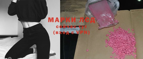 крисы Ельня
